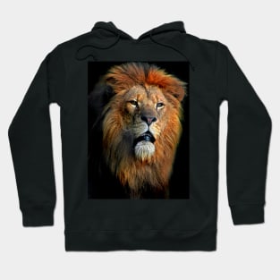 African Lion Hoodie